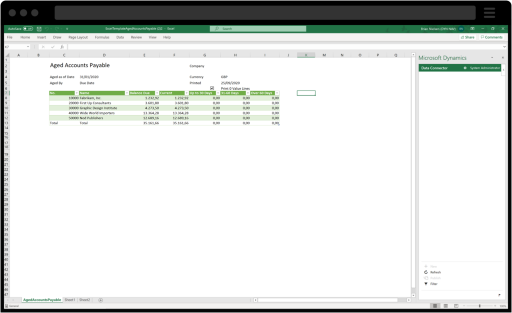 Schermata della rendicontazione finanziaria ottenuta tramite Business Central