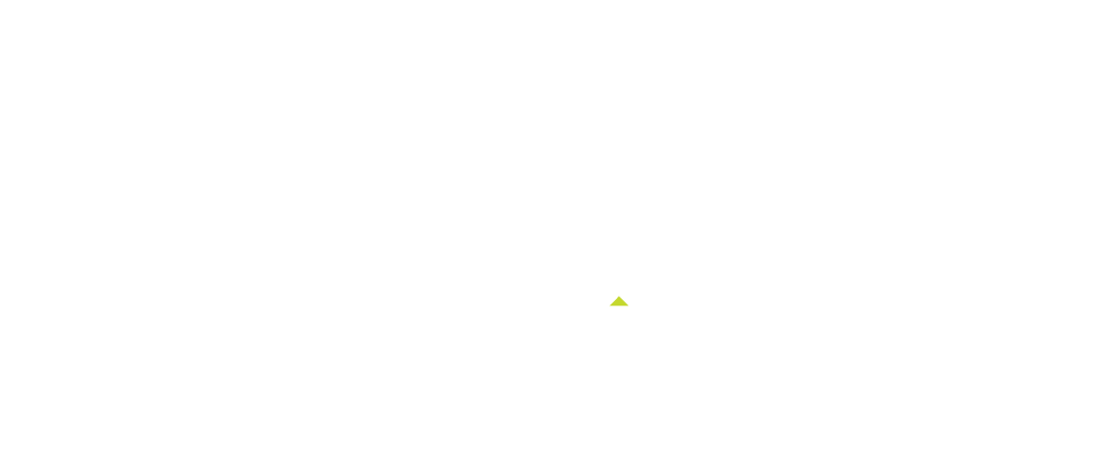 LS Retail logo bianco